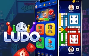 Ludo Earning App