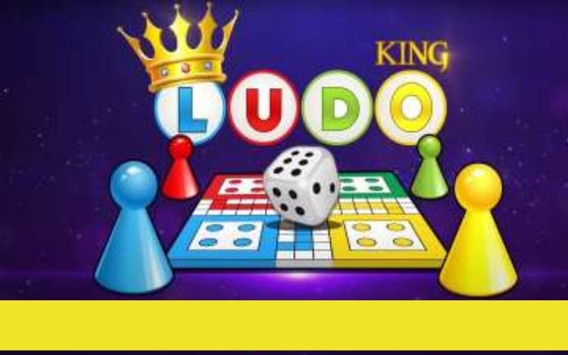 ludo king login instructions